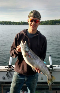 Trout galore in Lake Ontario
